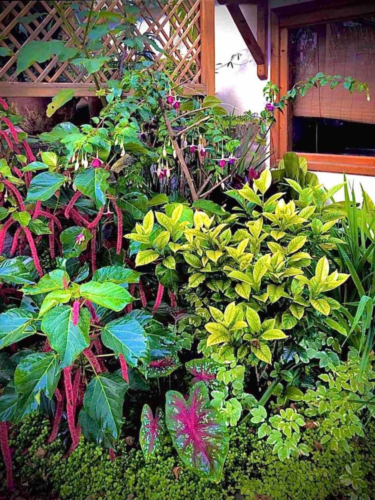 Casa De Angeles San Marcos Atitlan Lakefront Retreat Apartment *